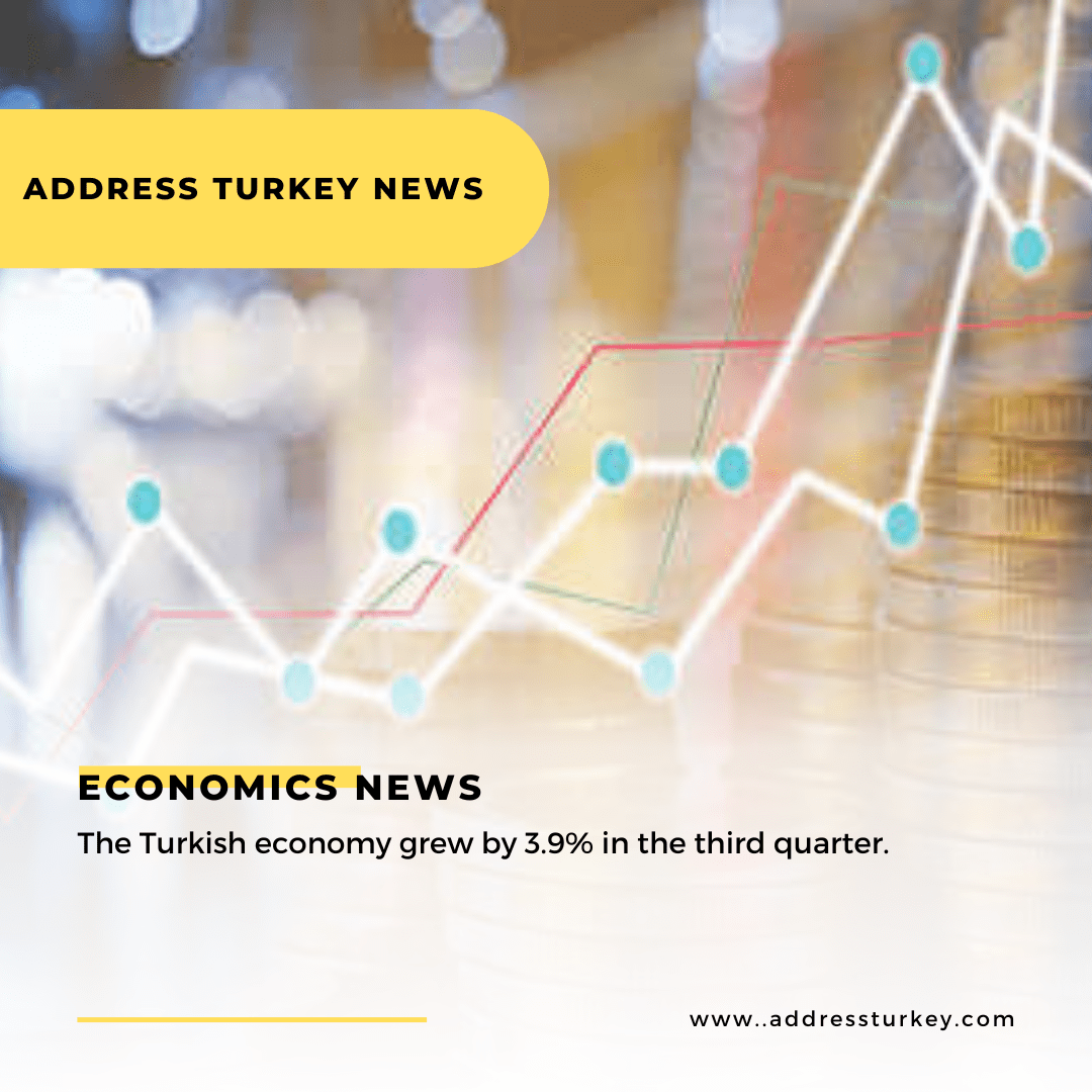 The Turkish economy grew by 3.9% in the third quarter.